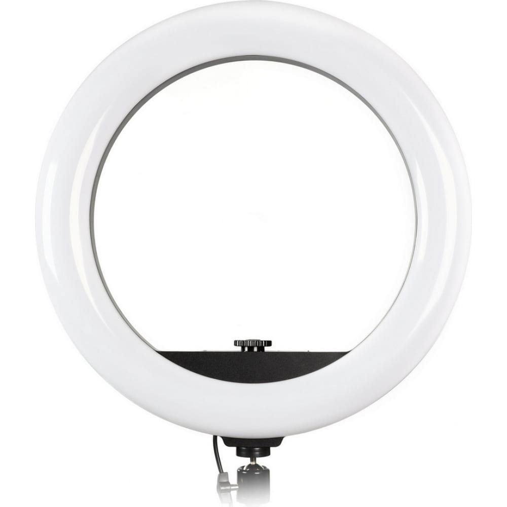 Кольцевая светодиодная лампа для профессиональной съемки Smartbuy кольцевая лампа falcon eyes beautylight 128 led