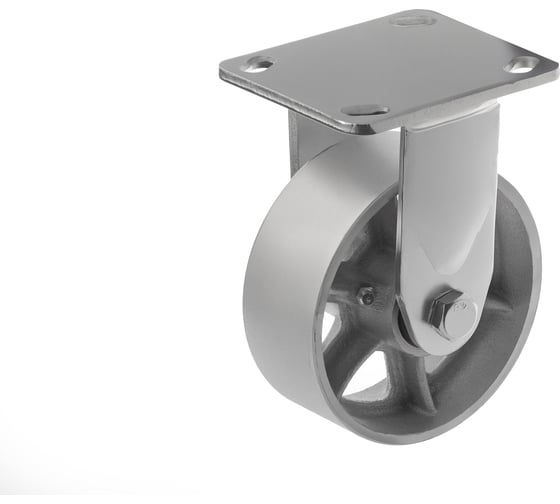 Изображение товара Большегрузное чугунное колесо без резины (125 мм; 350 кг) FCs 54 А5 1001078