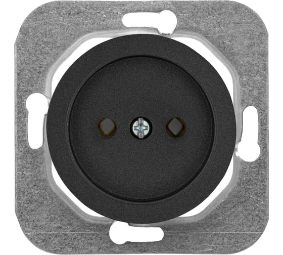 Изображение товара Механизм розетки Bylectrica 1-местная, скрытая установка, без заземляющего контакта, серия ПРОВАНС, РС16-1401 графит