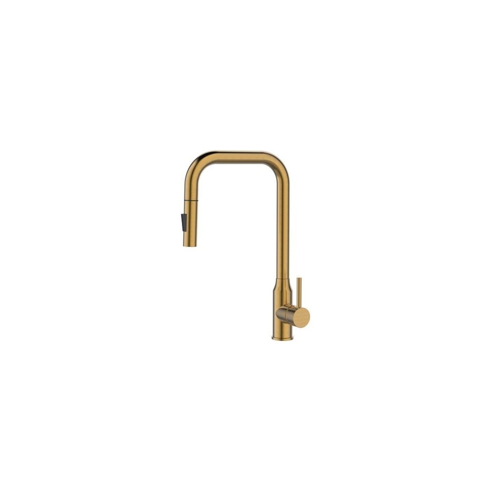 Изображение товара Смеситель для кухни Alveus ALVEUS BLOOM-PS BRONZE 1150849 Изображение товара Смеситель для кухни Alveus ALVEUS BLOOM-PS BRONZE 1150849