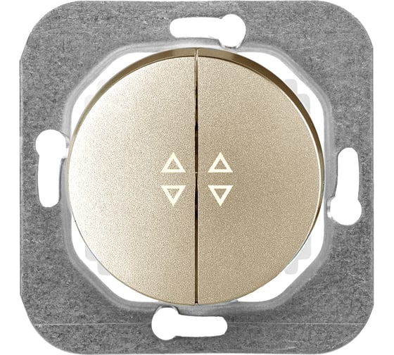 Изображение товара Механизм выключателя BYLECTRICA 2-клавишный, проходной, скрытая установка, ПРОВАНС, С(6+6) 10-3363 шампань