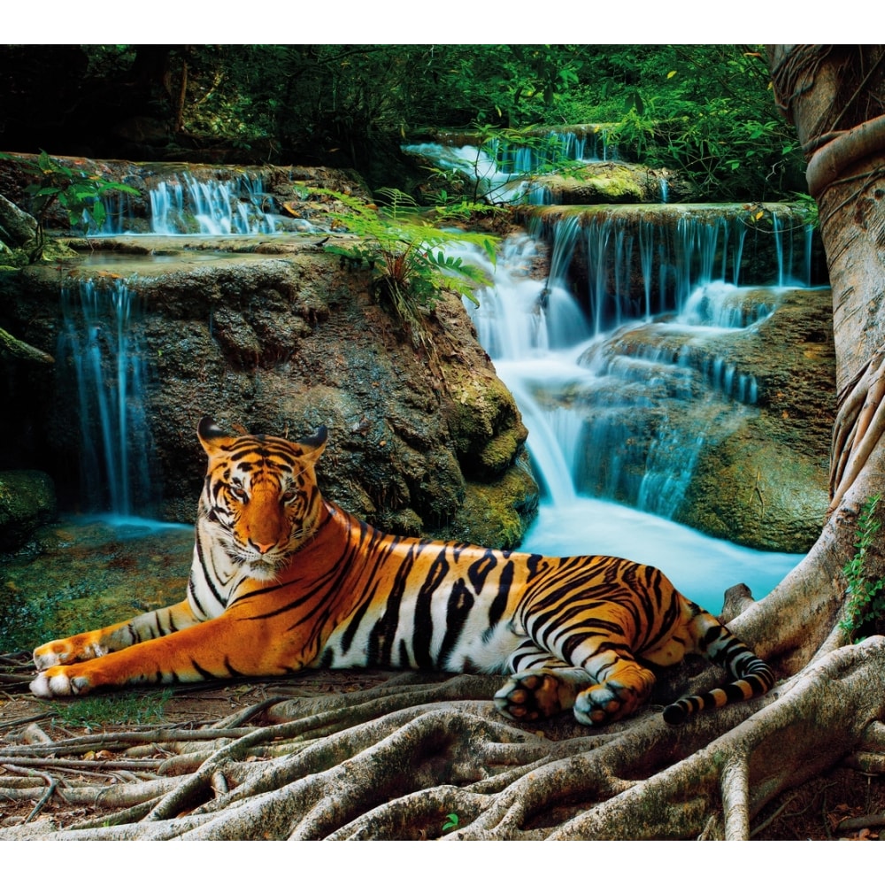Обои Антимаркер бусина тигр бронза