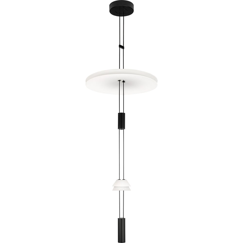 Подвесной светодиодный светильник LOFT IT Flamingo 10598C