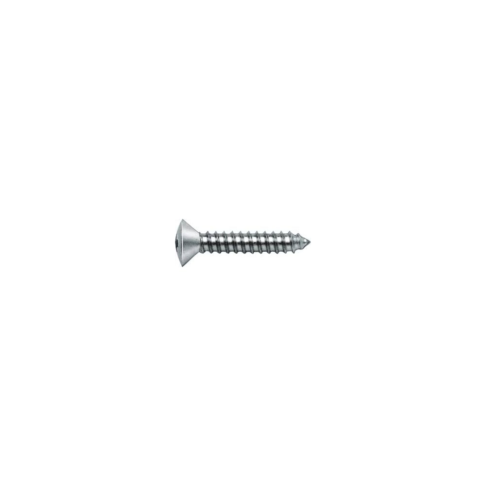 Саморез ЦКИ Глобал DIN7983 3.5х16 остроконечный TORX A2 200 шт 99198841