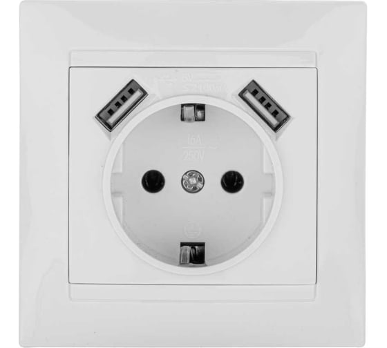 Изображение товара Розетка TDM ELECTRIC 2П+З 16А 250В + 2 USB порта 2,1А 5В белая Лама SQ1815-0042