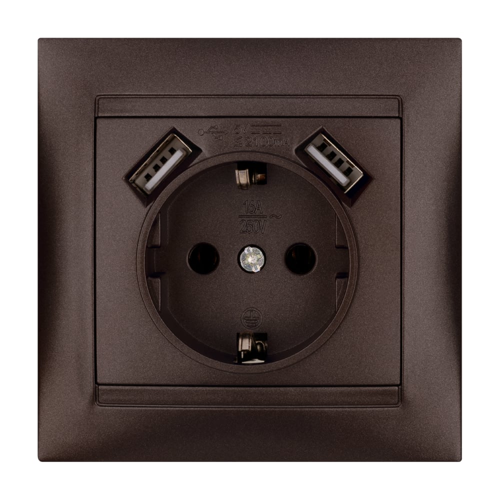 Изображение товара Розетка TDM ELECTRIC 2П+З 16А 250В с USB портиками в шоколаде