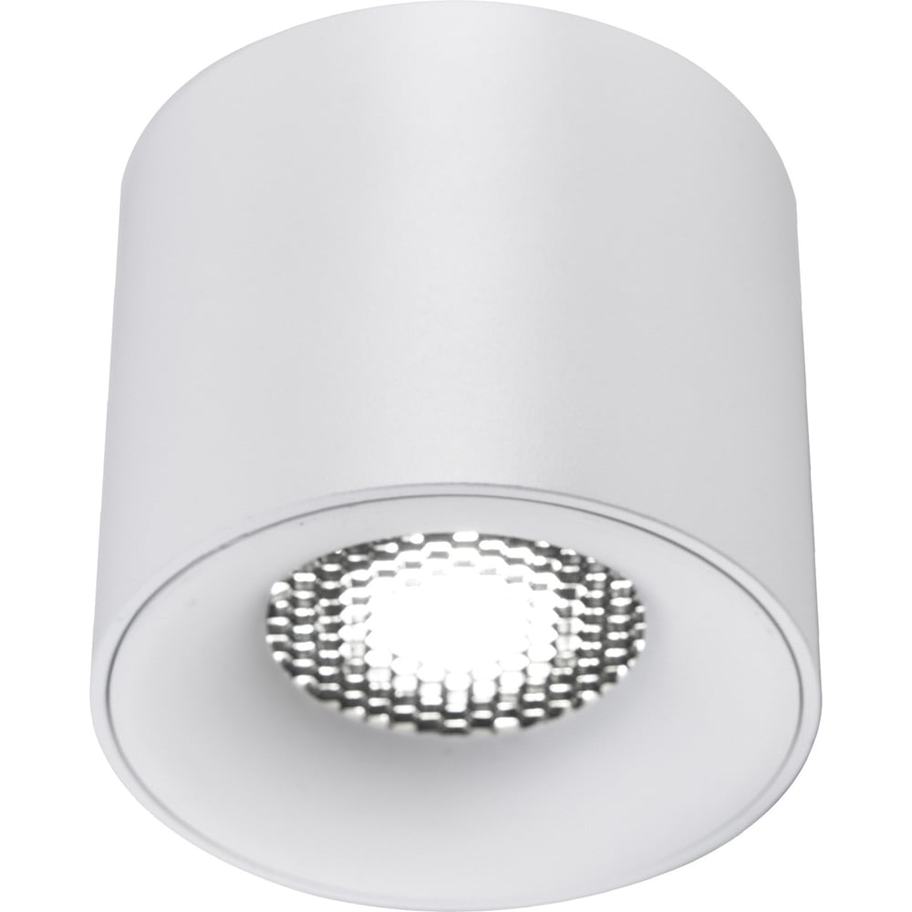 Изображение товара Светильник потолочный ST luce белый LED 1х10W 4000K 530Lm Ra 90 36 IP20 D80xH70 170-240VV ST761.543.10 Изображение товара Светильник потолочный ST luce белый LED 1х10W 4000K 530Lm Ra 90 36 IP20 D80xH70 170-240VV ST761.543.10