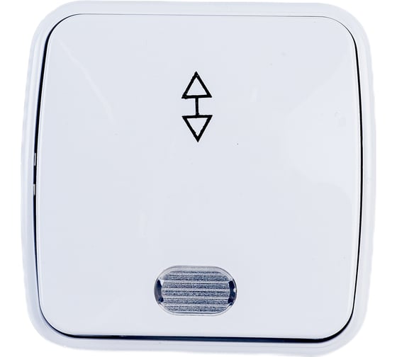 Изображение товара Переключатель белый, на 2 направления 1-клавишный TDM ELECTRIC, открытой установки с подсветкой IP20 10А серия "Дача" Народная SQ1824-0006