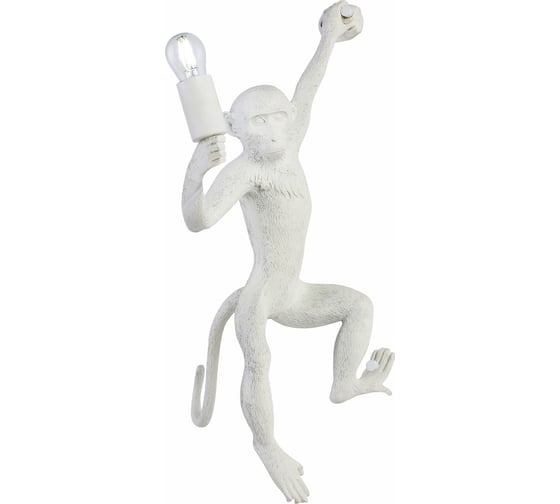 Изображение товара Настенный светильник Evoluce SLE115111-01