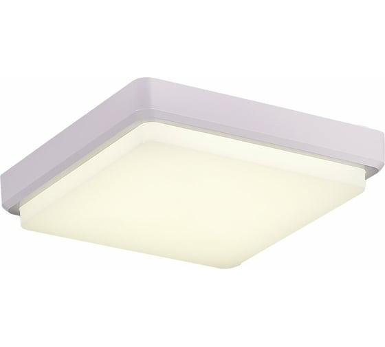 Изображение товара Потолочный светильник Evoluce SLE200212-01