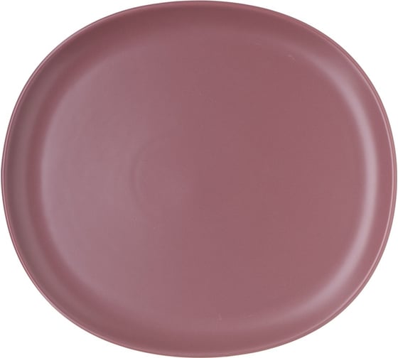 Изображение товара Тарелка BILLIBARRI Less Matt Dark Purple 26 см 806528965951