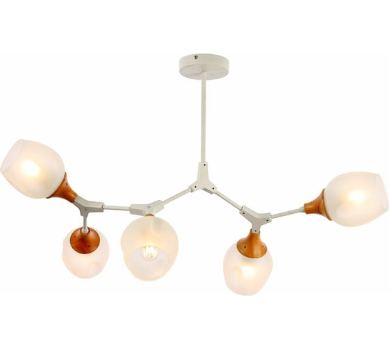 Изображение товара Потолочная люстра Evoluce SLE113502-05