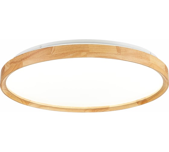 Изображение товара Потолочный светильник Evoluce SLE201382-01