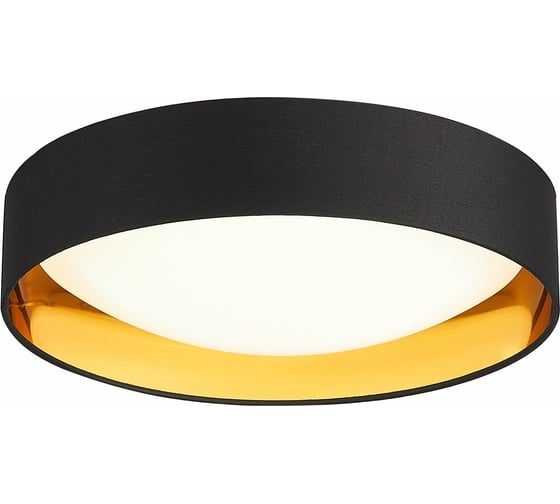 Изображение товара Потолочный светильник Evoluce SLE201102-01