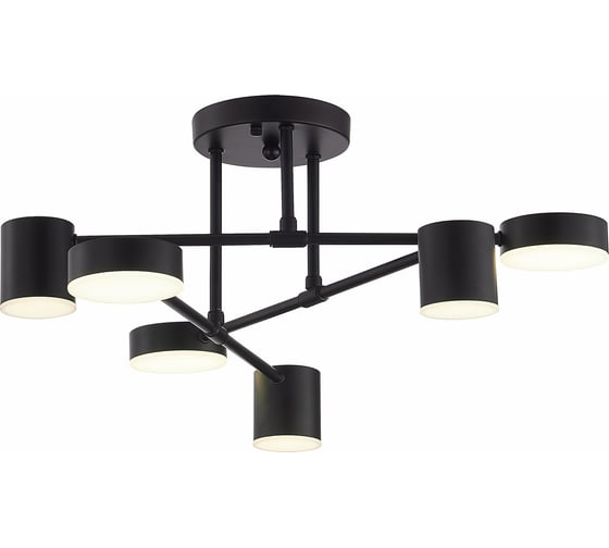 Изображение товара Потолочная люстра Evoluce SLE201042-06