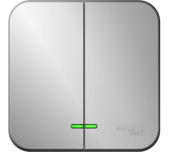 Изображение товара 2-клавишный выключатель Systeme Electric Blanca наружный, Алюминий с подсветкой 10А SE BLNVA105113