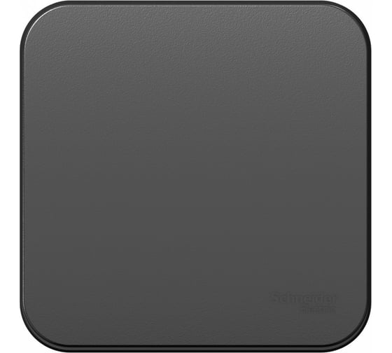 Изображение товара 1-клавишный выключатель Systeme Electric Blanca наружный, Антрацит 10А, 250B SE BLNVA101016