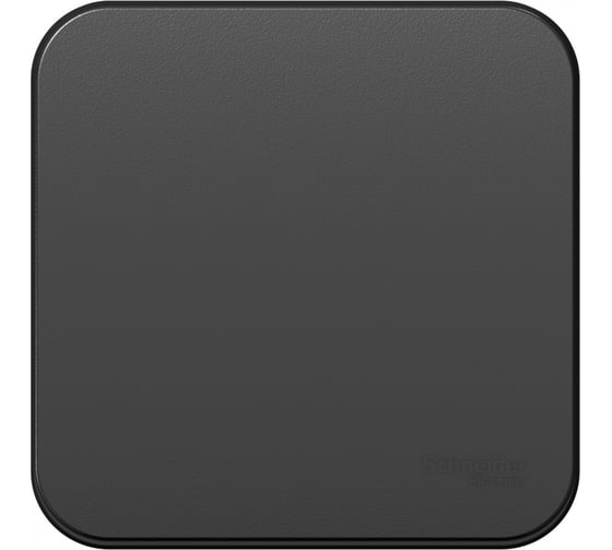 Изображение товара 1-клавишный выключатель Systeme Electric Blanca наружный, Антрацит с самовозвратом SE BLNCA101016