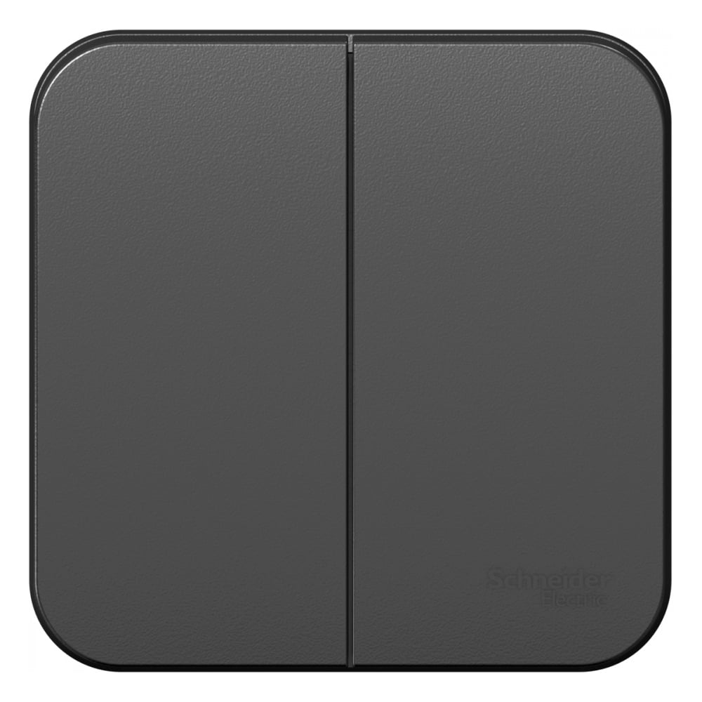 Изображение товара Выключатель 2-клавишный Systeme Electric Blanca Антрацит 10А IP20 Изображение товара Выключатель 2-клавишный Systeme Electric Blanca Антрацит 10А IP20