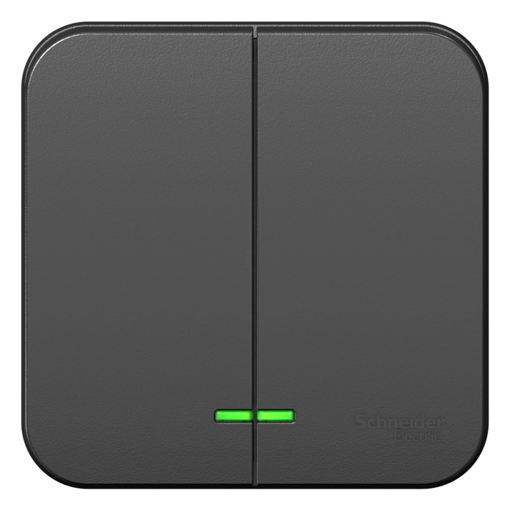 Изображение товара 2-клавишный выключатель Systeme Electric Blanca антрацит с подсветкой