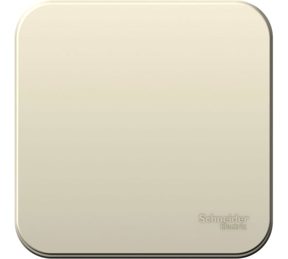 Изображение товара 1-клавишный выключатель Systeme Electric Blanca наружный, Молочный 10А SE BLNVA101012