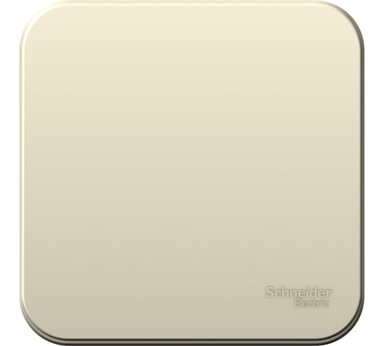 Изображение товара 1-клавишный выключатель Systeme Electric Blanca наружный, Молочный, с самовозвратом SE BLNCA101012