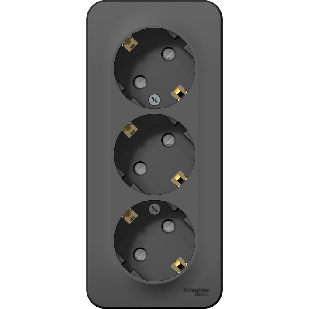 Изображение товара Наружная 3-ая розетка Systeme Electric Blanca Антрацит с заземлением