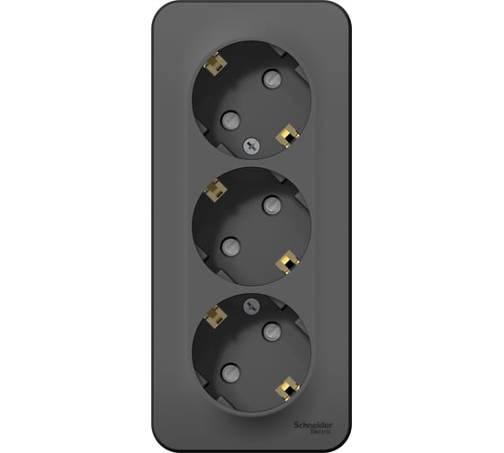 Изображение товара 3-ая наружная розетка Systeme Electric Blanca Антрацит, с заземлением, со шторками 16А, 250В SE BLNRA011316