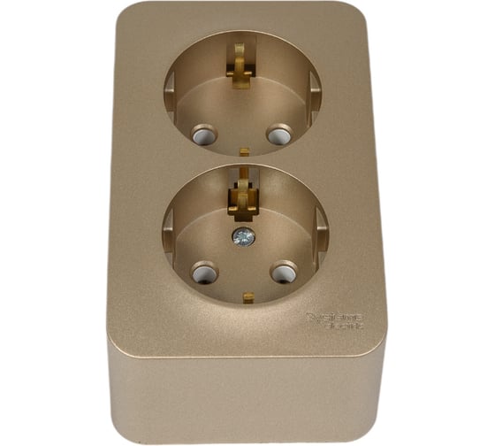 Изображение товара 2-ая наружная розетка Systeme Electric Blanca Титан, с заземлением, без шторок, 16А, 250В SE BLNRA010214