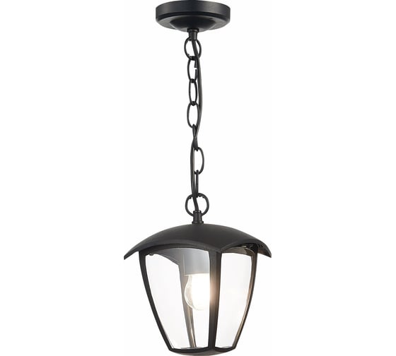 Изображение товара Подвесной уличный светильник ST luce SL081.403.01