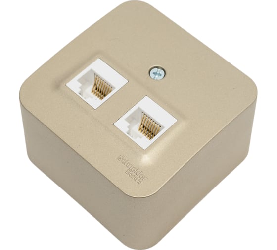 Изображение товара Двойная компьютерная розетка Systeme Electric Blanca наружная Титан RJ45, кат.5E SE BLNIA045454