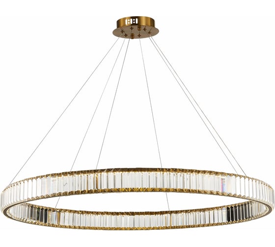 Изображение товара Подвесная люстра ST luce SL1622.313.01