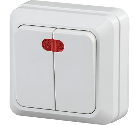 Изображение товара Двухклавишный выключатель Intro Quadro 2-105-01 с подсветкой, 10А-250В, IP20, открытая установка, белый, Б0053766