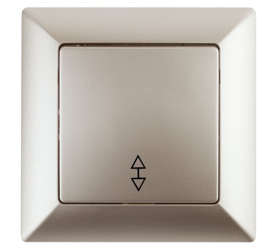 Изображение товара Переключатель Intro Solo 4-103-04 одноклавишный 10А-250В, IP20, СУ, шампань, Б0053580