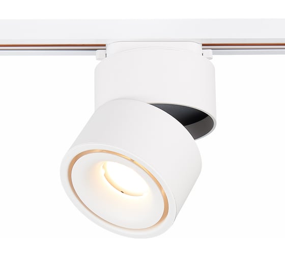 Изображение товара Трековый светильник ST luce ST652.546.12