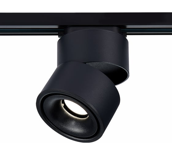 Изображение товара Трековый светильник ST luce ST652.436.12