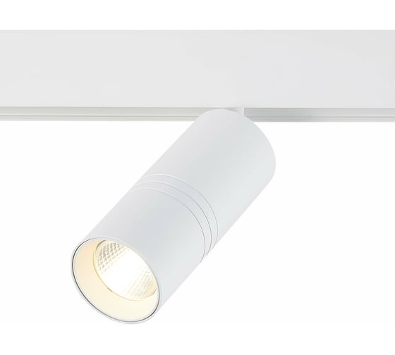 Изображение товара Магнитный трековый светильник ST luce ST365.536.18