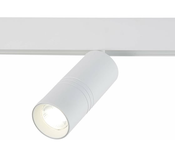 Изображение товара Магнитный трековый светильник ST luce ST365.546.18