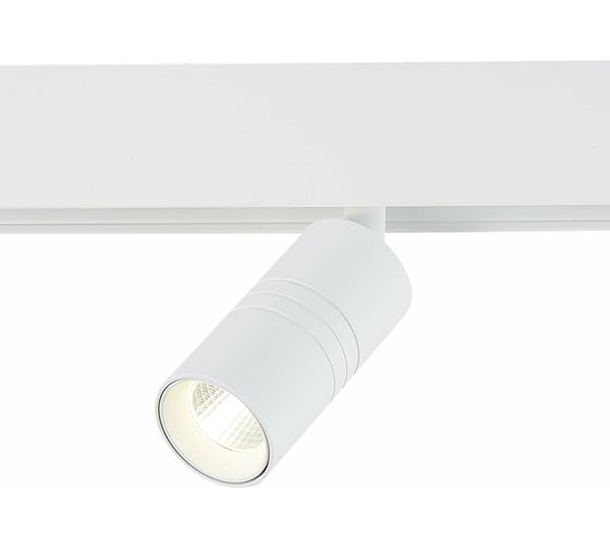 Изображение товара Магнитный трековый светильник ST luce ST365.546.07