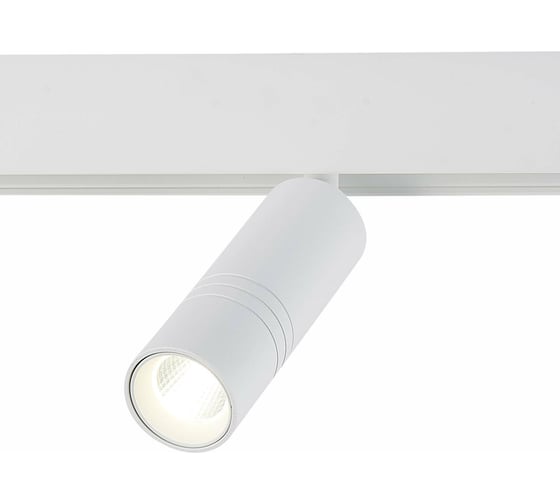 Изображение товара Магнитный трековый светильник ST luce ST365.546.12