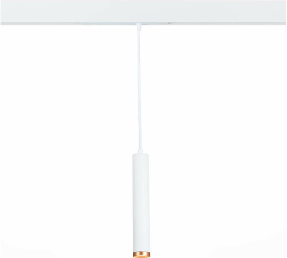 Изображение товара Трековый подвесной светильник ST luce ST659.593.10