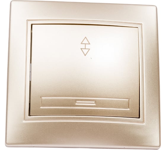 Изображение товара Одноклавишный переключатель Intro Plano 1-103-04 10А-250В, IP20, СУ, шампань, Б0053748