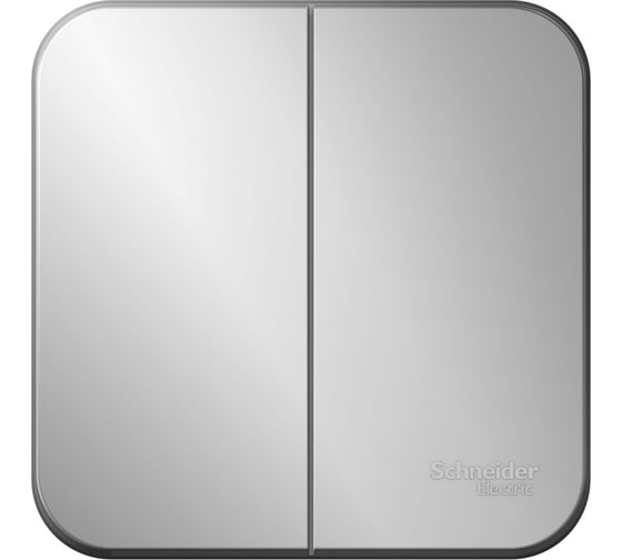 Изображение товара 2-клавишный выключатель Systeme Electric Blanca о/у без пласт. алюминий, 10А BLNVA105003
