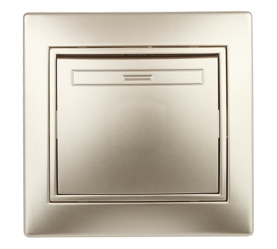 Изображение товара Выключатель Intro Plano 1-101-04 одноклавишный, 10А-250В, IP20, СУ, шампань, Б0053724