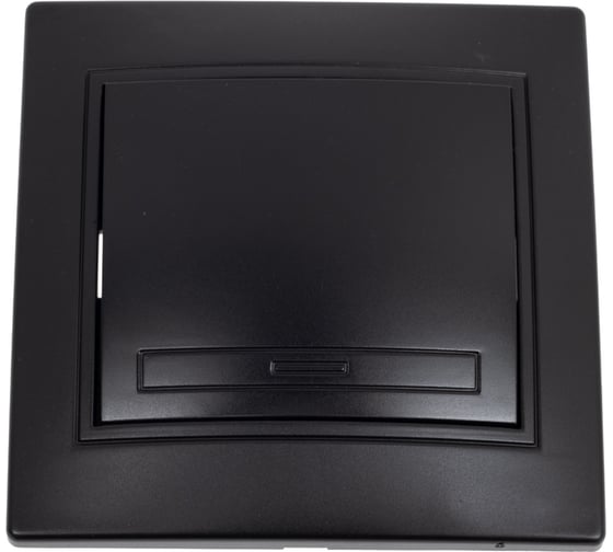 Изображение товара Выключатель Intro Plano 1-101-05 одноклавишный,10А-250В, IP20, СУ, антрацит, Б0053725