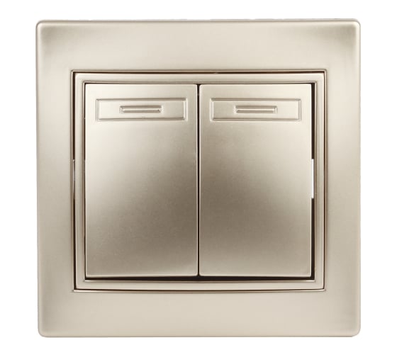 Изображение товара Выключатель Intro Plano 1-104-04 двухклавишный, 10А-250В, IP20, СУ, шампань, Б0053764