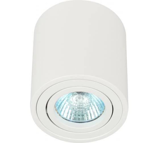 Изображение товара Настенно-потолочный поворотный светильник спот ЭРА OL21 WH MR16/GU10, белый, Б0054392
