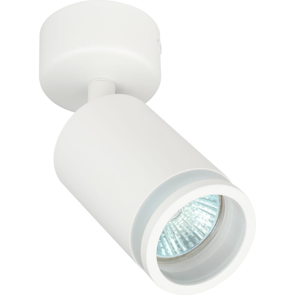 Настенно-потолочный светильник-спот ЭРА светильник настенно потолочный завод элетех консул 1 лампа 4 м² белый