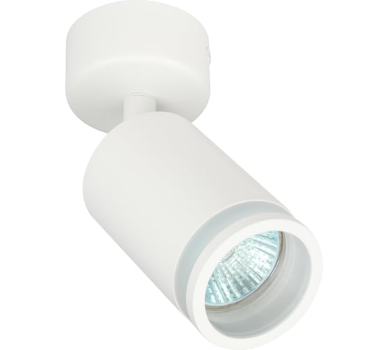 Изображение товара Настенно-потолочный светильник спот ЭРА OL23 WH MR16/GU10, белый Б0054396