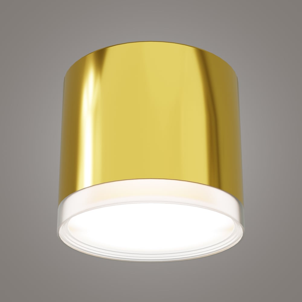 светильник светодиодный дпб 3203 18 вт ip54 накладной круг золотой Накладной светильник RITTER